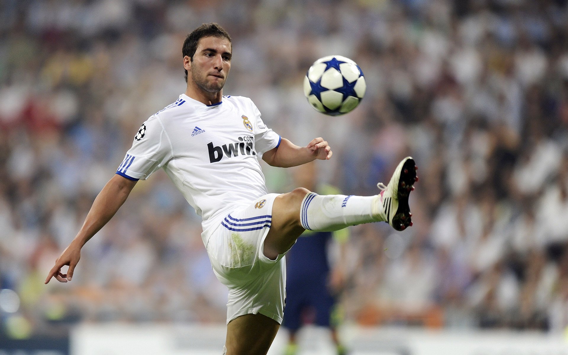 关于年终总决赛转会风云:北京首钢盯上锋线强援,罗德里或成交易筹码的信息